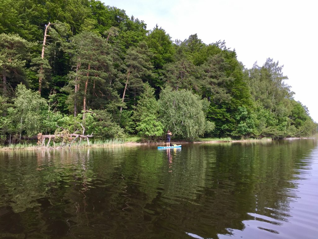 Staffelsee auf dem Stand up Padding board