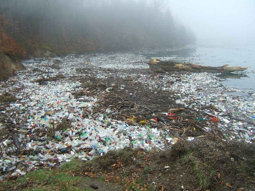 Plastikmüll am Meer